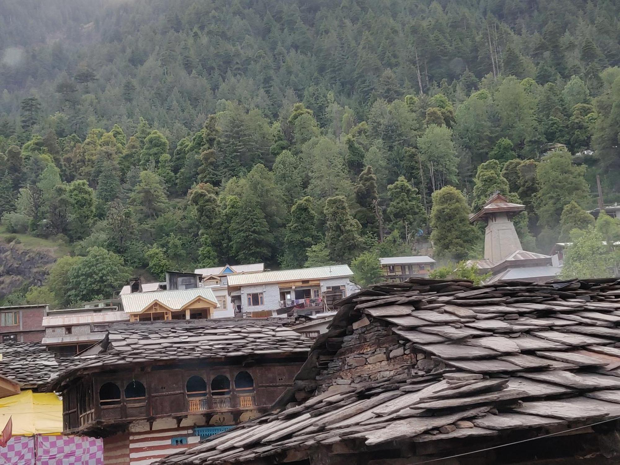 Ostello La Voglia-Old Manali Camera foto